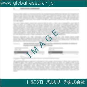 グローバルリサーチ調査資料のイメージ